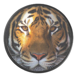 Hockey Puck/Tiger Eishockey Puck
