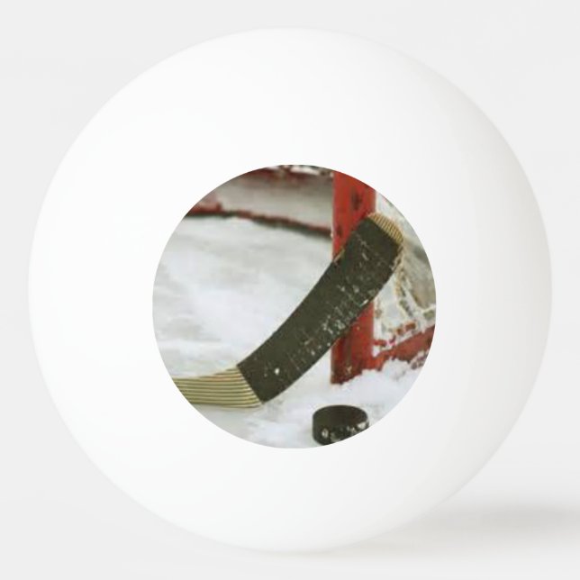 Hockeynetz Tischtennisball (Rückseite)