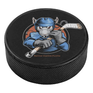 Hockeyrat Eishockey Puck