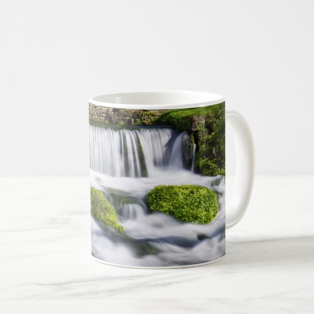 Hodgson Spring Falls Coffee Tasse (VorderseiteRechts)