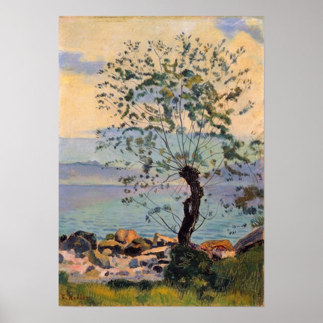 Hodler - Wiese 1890 Poster (Vorne)