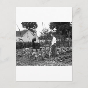 Hoe Down: 1926 Postkarte