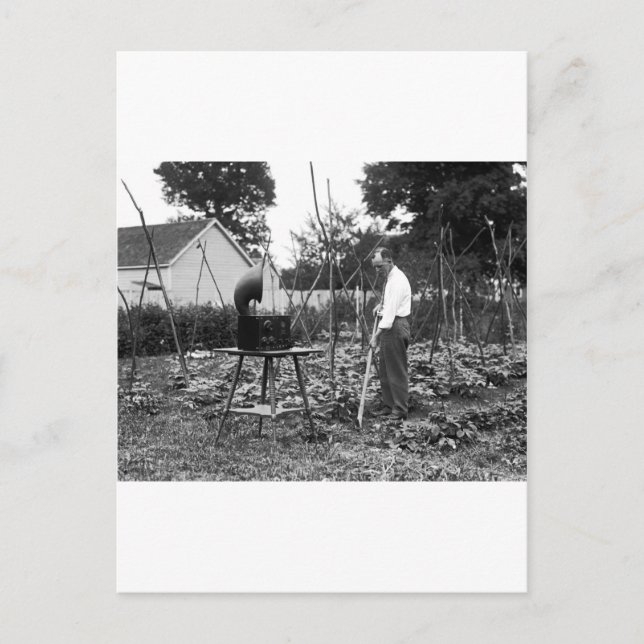 Hoe Down: 1926 Postkarte (Vorderseite)