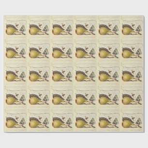 Hoefnagel Vintage Birne & Insekten 1500er Renaissa Geschenkpapier