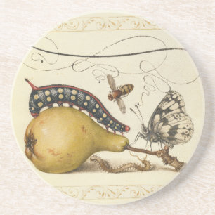 Hoefnagel Vintage Birne & Insekten 1500er Renaissa Getränkeuntersetzer