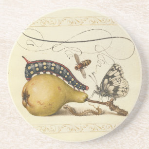 Hoefnagel Vintage Birne & Insekten 1500er Renaissa Getränkeuntersetzer