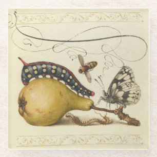 Hoefnagel Vintage Birne & Insekten 1500er Renaissa Glasuntersetzer