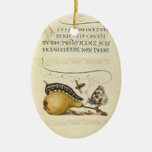 Hoefnagel Vintage Birne & Insekten 1500er Renaissa Keramikornament