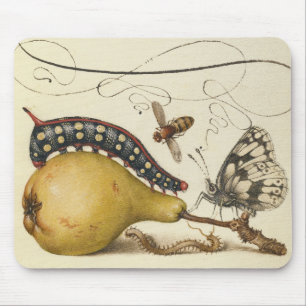 Hoefnagel Vintage Birne & Insekten 1500er Renaissa Mousepad