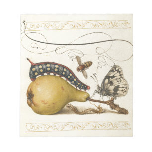 Hoefnagel Vintage Birne & Insekten 1500er Renaissa Notizblock