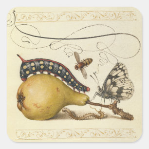 Hoefnagel Vintage Birne & Insekten 1500er Renaissa Quadratischer Aufkleber