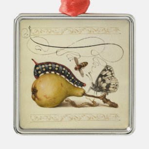Hoefnagel Vintage Birne & Insekten 1500er Renaissa Silbernes Ornament