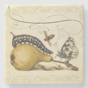 Hoefnagel Vintage Birne & Insekten 1500er Renaissa Steinuntersetzer