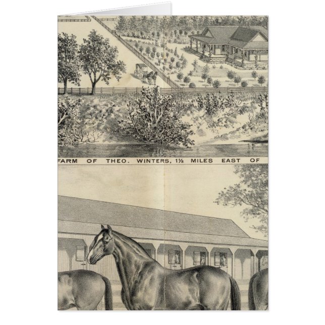 Hof T Winters (Vorne)