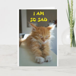 **HOFFE, DASS SIE BESSER GEFÜHL SIND** KARTE