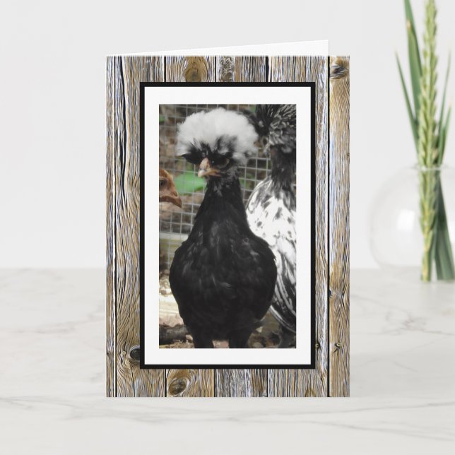 Hoffe, dein Geburtstag ist eiskalt, lustig Karte (Vorderseite)