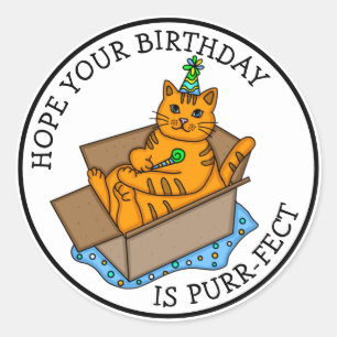 Hoffe, dein Geburtstag ist purer Fakt Runder Aufkleber