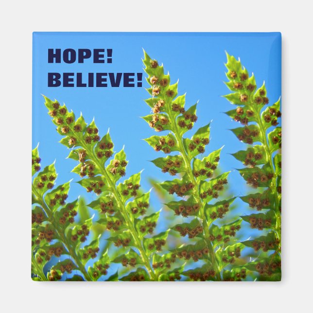 HOFFE! Magnet GLAUBEN! Grünwald Ferns Blätter (Vorne)