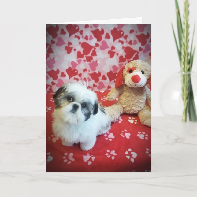 **HOFFE U SAGT JA ZU MEINER ANFRAGE** VALENTINE KARTE (Vorderseite)