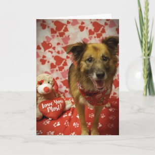 **HOFFE U SAGT JA ZU MEINER ANFRAGE** VALENTINE KARTE