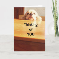 HOFFEN, DASS SIE SICH BALD "BESSER" FÜHLEN!