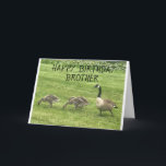 HOFFEN SIE, DASS IHR BIRTHTAG NUR "KÜCHE" BROTHER  KARTE<br><div class="desc">DIESE GEESE SICHER KANN NICHT WARTEN,  IHRE BROTHER "GLÜCKLICH BIRTHTAG" ZU WÜNSCHEN UND DANKE IHNEN FÜR DIE BEWOHNUNG VON EINER DER ACHTEN STÄDTE~</div>