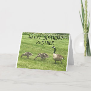 HOFFEN SIE, DASS IHR BIRTHTAG NUR "KÜCHE" BROTHER  KARTE