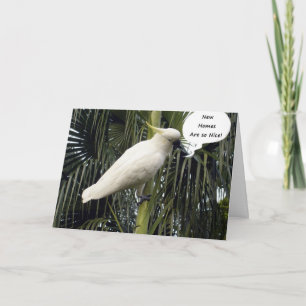 HOFFEN SIE, DASS IHRE NEUE ZUHAUSE KOMFY=GRATULATI KARTE