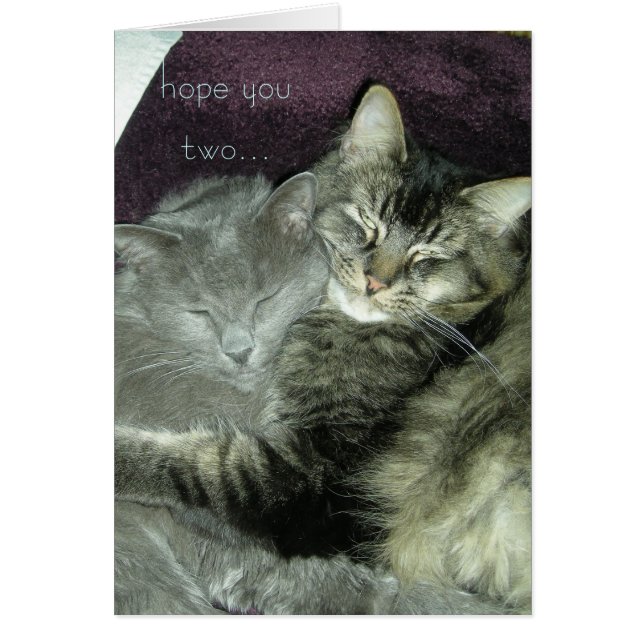 hoffen Sie, dass Sie zwei… fortfahren, Ihre (Vorne)