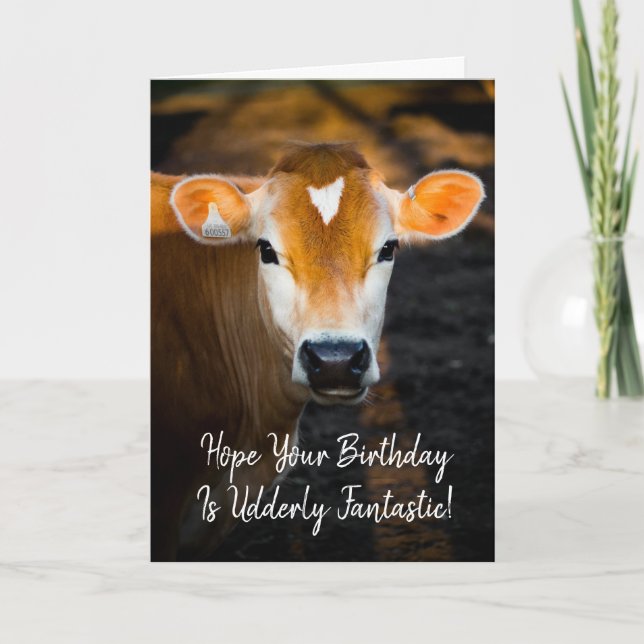 Hoffentlich ist Dein Geburtstag absolut fantastisc Karte (Vorderseite)