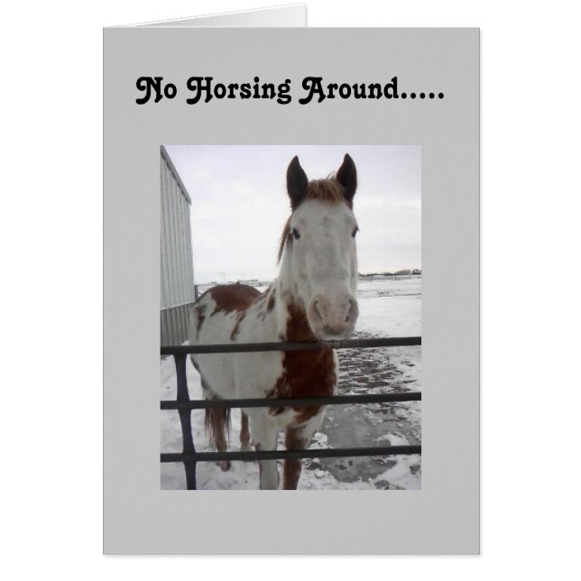 HOFFENTLICH KÖNNEN WIR UM DEN 40. (Vorne)