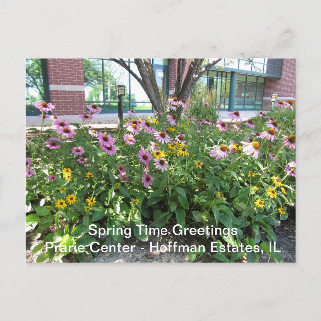Hoffman Anwesen, Illinois Prarie Centre Gruß P Postkarte (Vorderseite)