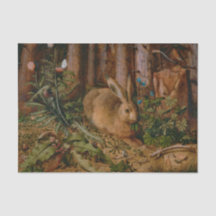 Hoffmann Hare Forest Nature Malerei
