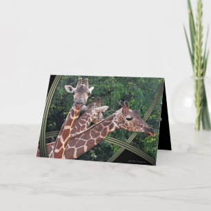 Hoffmans Hawaii Karte