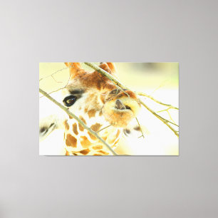 HOFFNUNG 40 x 60 Leinwanddruck