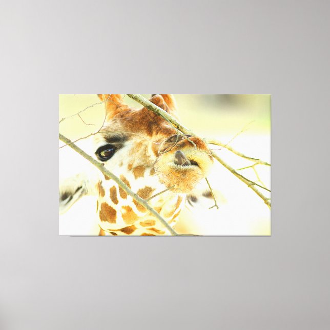 HOFFNUNG 40 x 60 Leinwanddruck (Vorderseite)