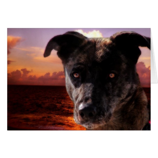 Hoffnung besucht den Ozean (Vorderseite (Horizontal))