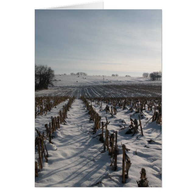 Hoffnung entspringt ewig (Vorne)