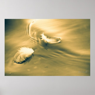 Hoffnung ist das Ding mit Federn Poster