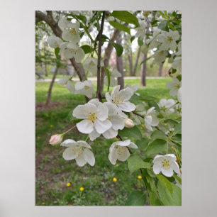 Hoffnung ist nahe poster