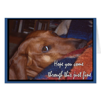 Hoffnung kommen Sie durch diese gerechte