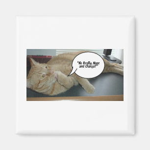 Hoffnung und Wandel/Katzen Spaß Magnet