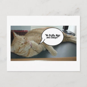 Hoffnung und Wandel/Katzen Spaß Postkarte
