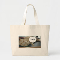 Hoffnung und Wandel Orange Tabby Cat