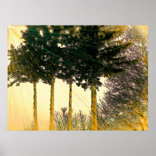 Hoffnungsschimmer Poster