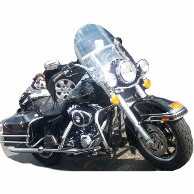 Hog Dog Freistehende Fotoskulptur (Vorne)