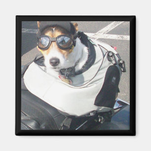 Hog Dog Kühlschrank Magnet