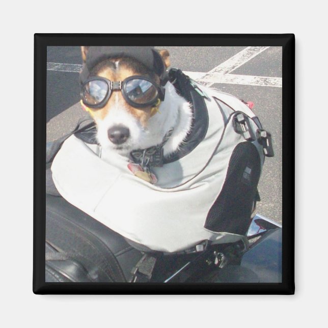 Hog Dog Kühlschrank Magnet (Vorne)