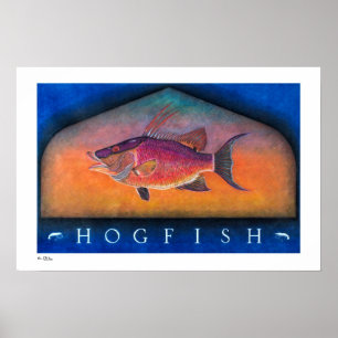 Hogfish-Plakate, Drucke und Rahmen