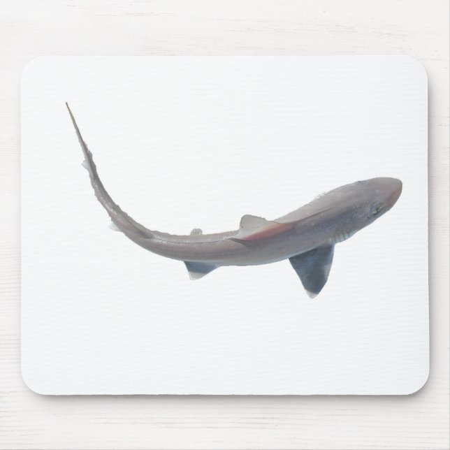 Hogfish Shark Baby Mousepad (Vorne)